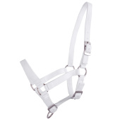 Fohlenhalfter Adjustable Weiß Fohlenhalfter Adjustable Weiß