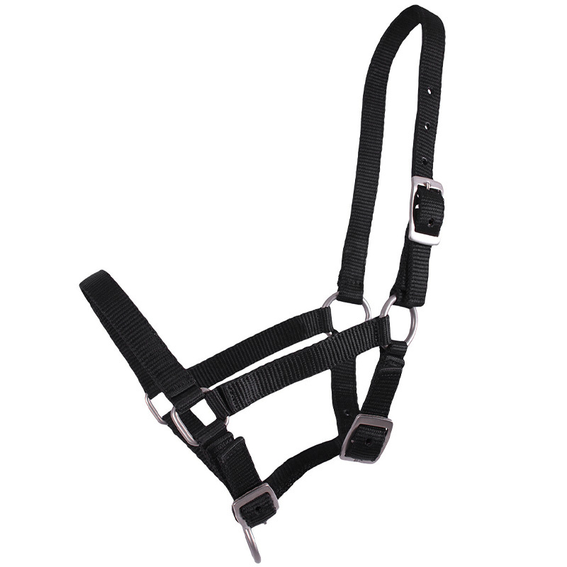 Fohlenhalfter Adjustable Schwarz