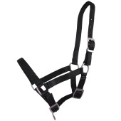 Fohlenhalfter Adjustable Schwarz Fohlenhalfter Adjustable Schwarz