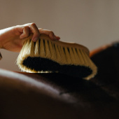 Taillenbürste Mix Mex Braun Taillenbürste Mix Mex Braun