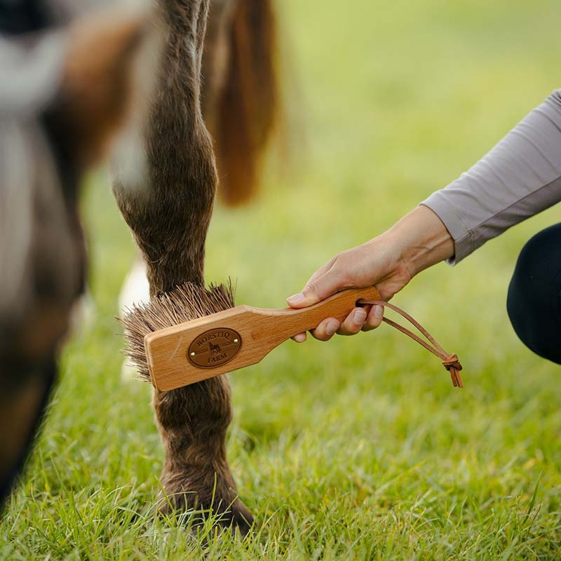 Bürste Islänningen Bassine Braun