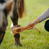 Bürste Islänningen Bassine Braun Bürste Islänningen Bassine Braun