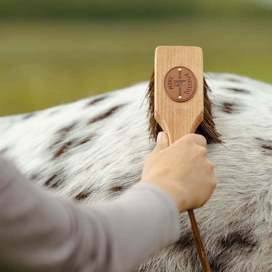 Bürste Islänningen Bassine Braun