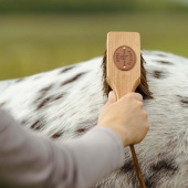 Bürste Islänningen Bassine Braun Bürste Islänningen Bassine Braun