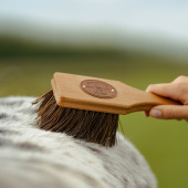 Bürste Islänningen Bassine Braun Bürste Islänningen Bassine Braun