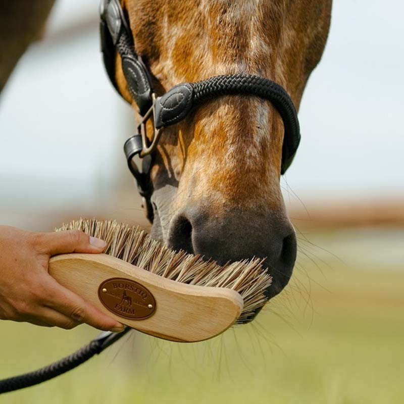 Bürste S-Panel Unionmix Braun Mittel