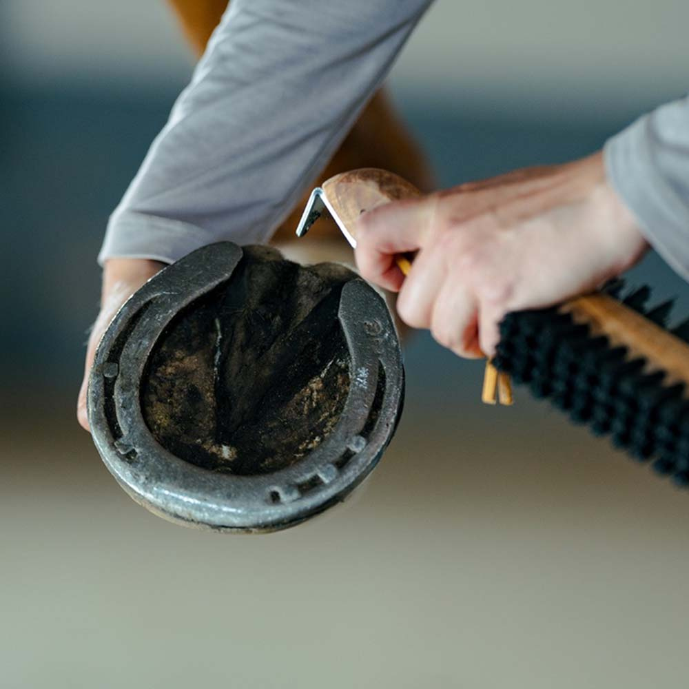 Hufgebürste mit Hufkratzer Dubbelsidig Braun