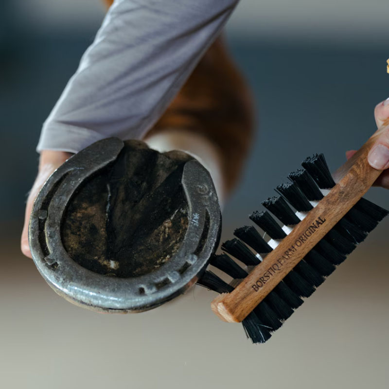 Hufgebürste mit Hufkratzer Dubbelsidig Braun