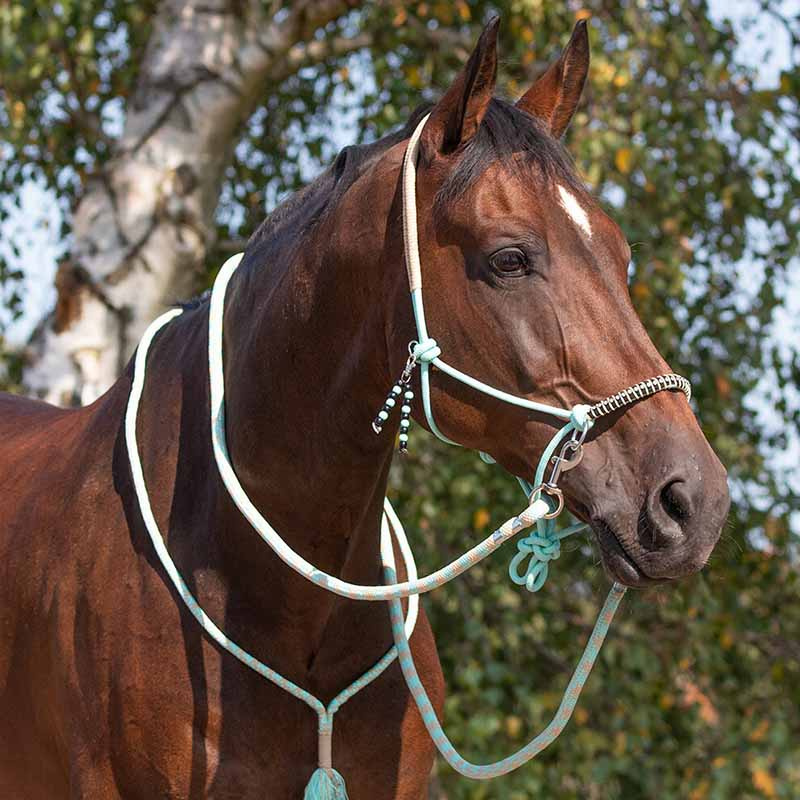 Seilhalfter mit Zügeln Combi Liberty Hellgrün