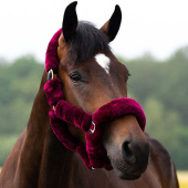 Halfter Alaska Fauxfur Weinrot Halfter Alaska Fauxfur Weinrot