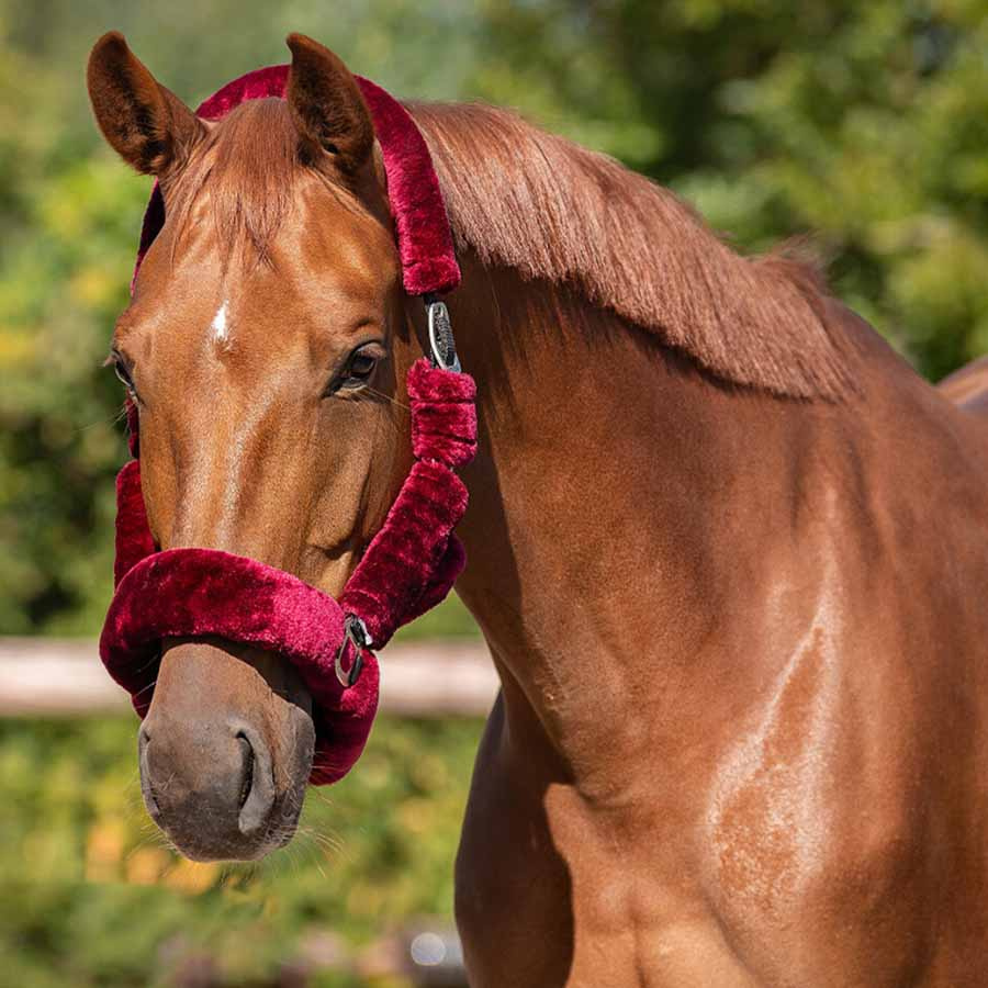 Halfter Alaska Fauxfur Weinrot