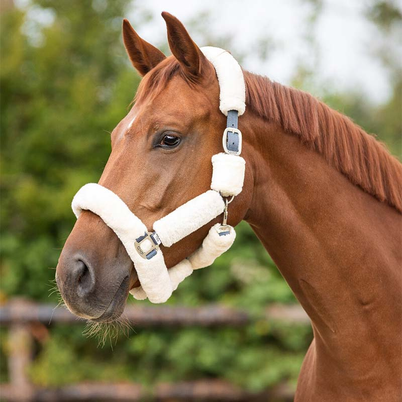 Halfter Alaska Fauxfur Natur