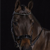 Trense Equitus Beta Glam Schwarz Trense Equitus Beta Glam Schwarz