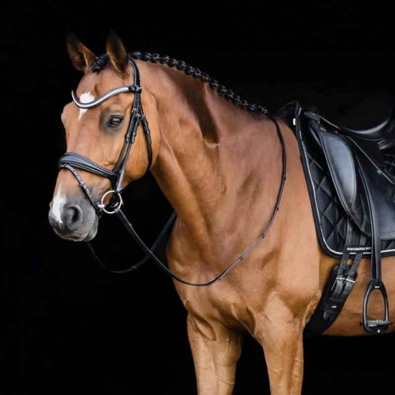 Dressurtrense Charleston Schwarz