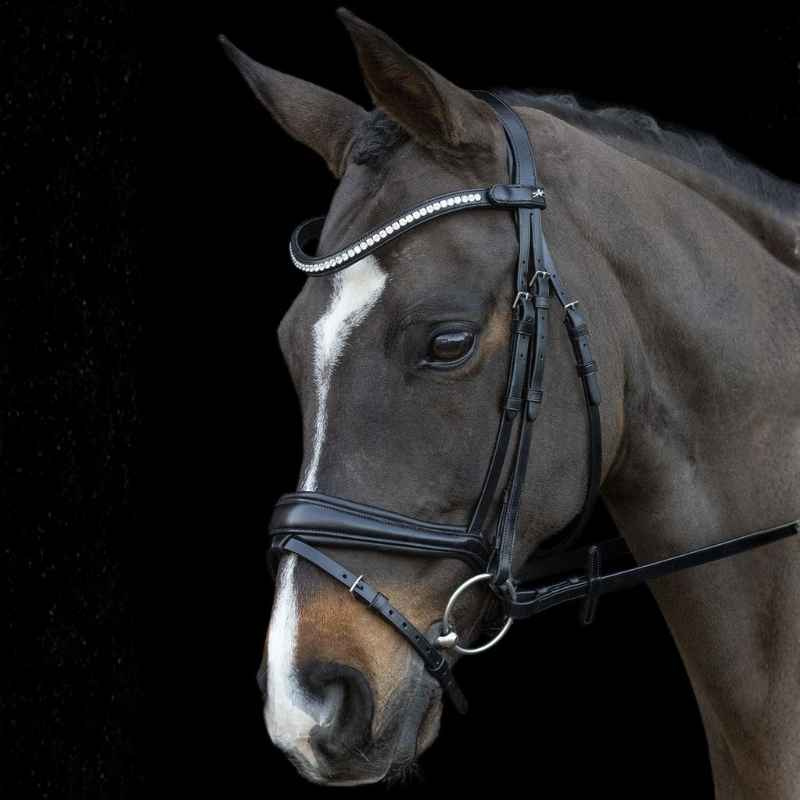 Dressurtrense Charleston Schwarz