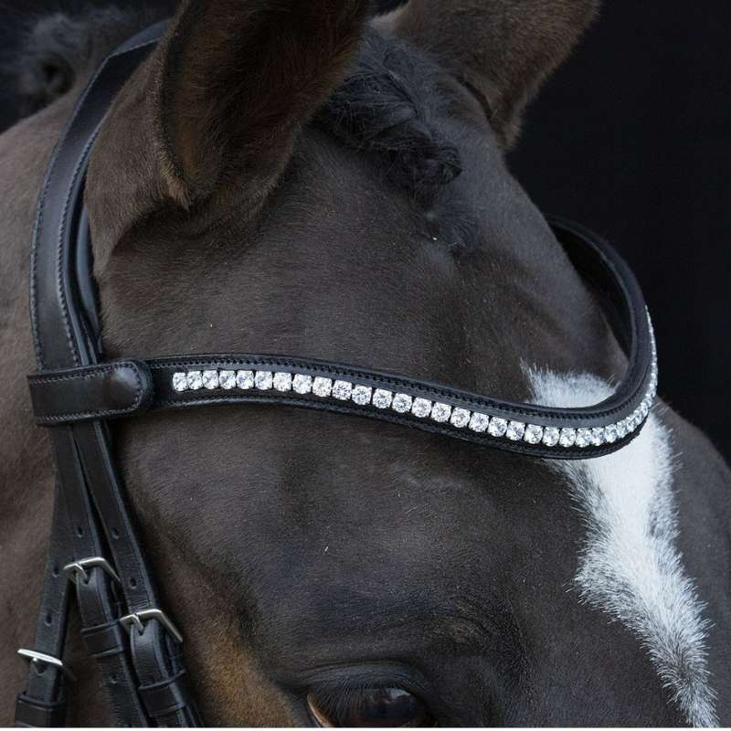 Dressurtrense Charleston Schwarz