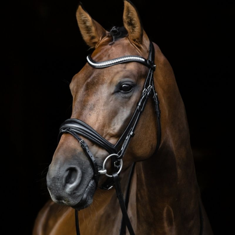 Dressurtrense Charleston Schwarz