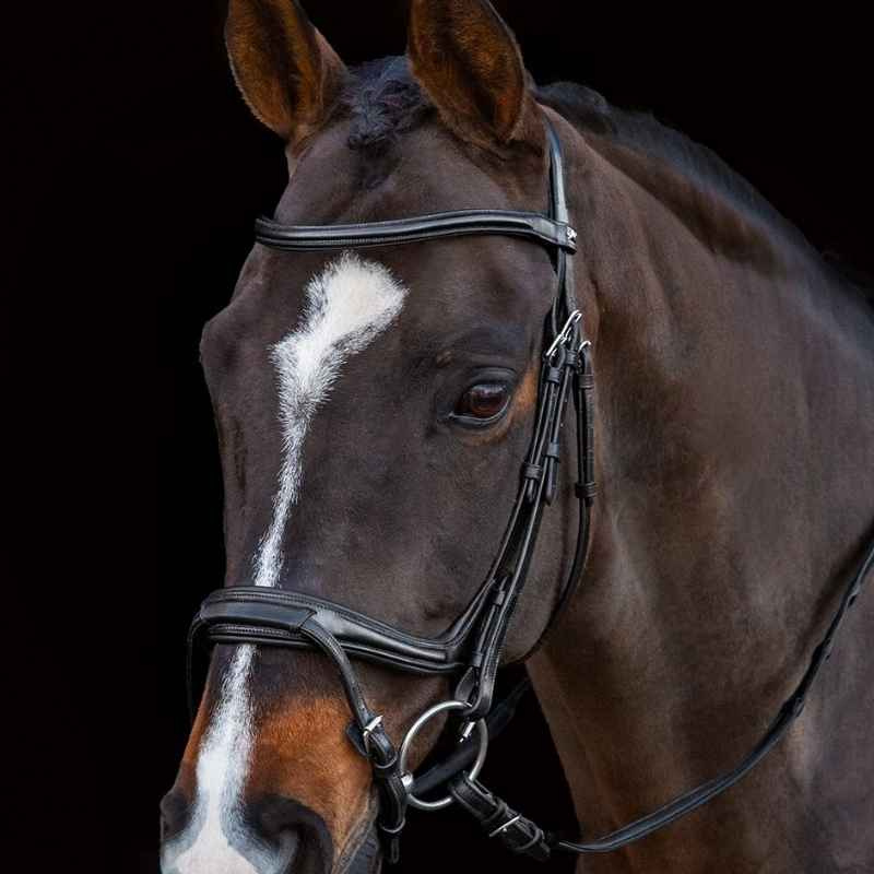 Trense Ancona Select Schwarz