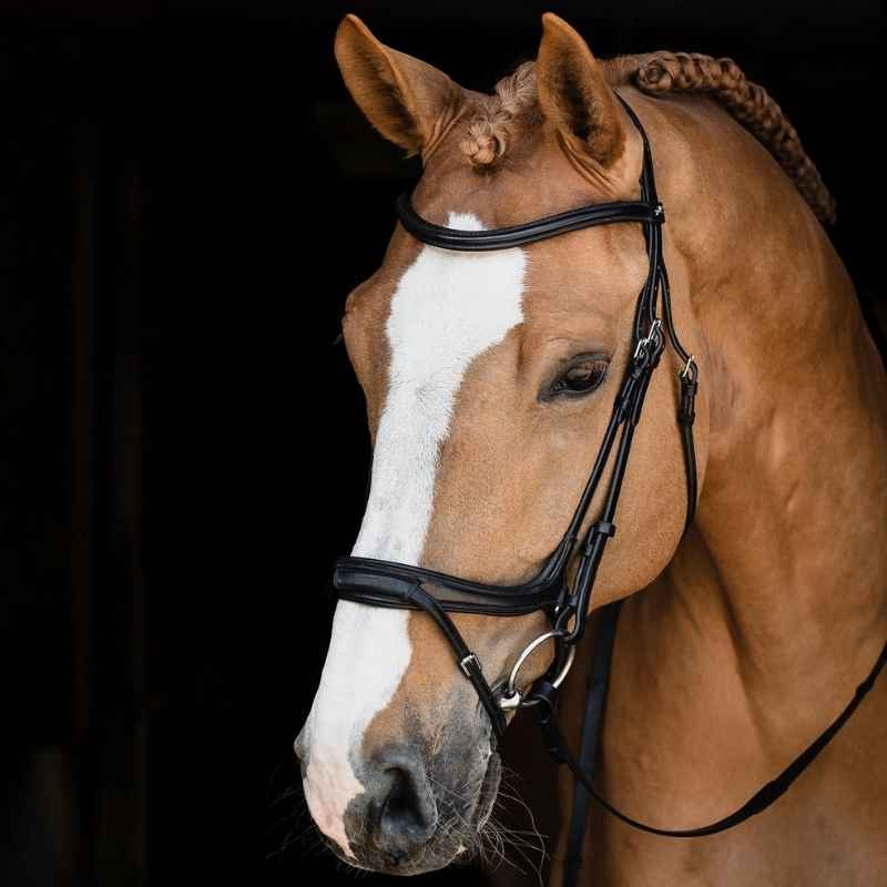 Trense Ancona Select Schwarz