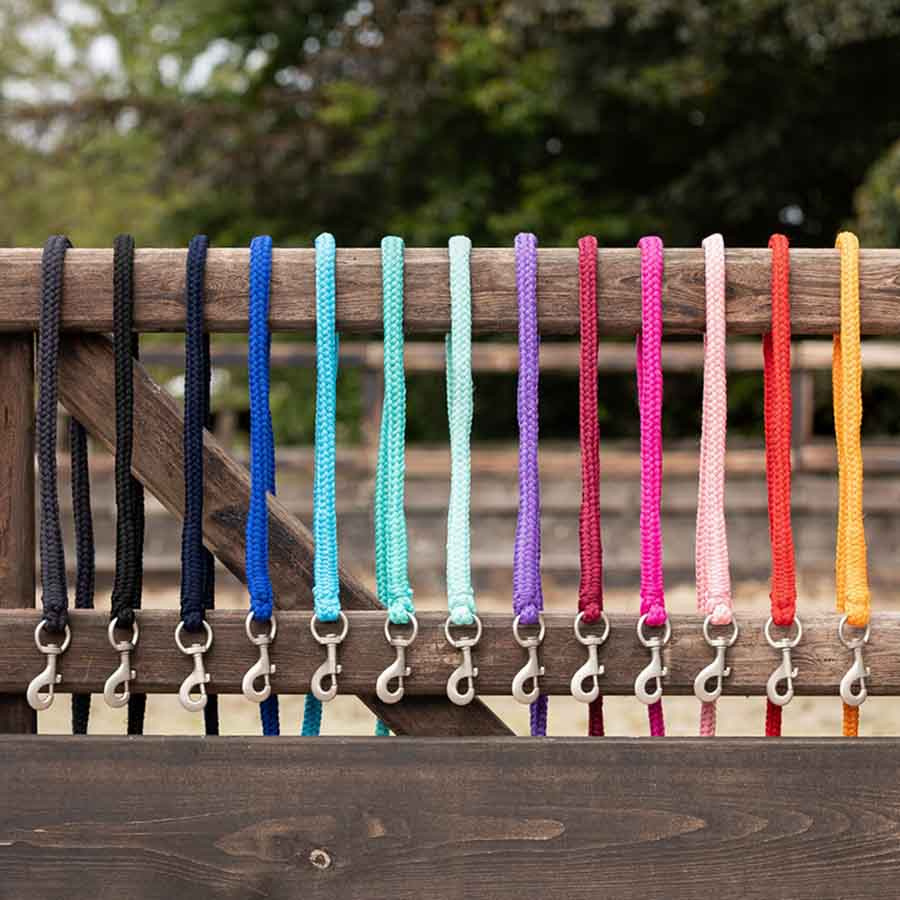 Halfter Heavy Snap 2m Orange