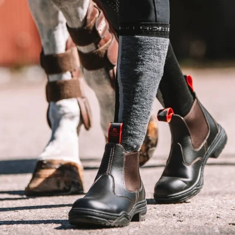 Stall-Jodhpurs Winter EXTRM Dunkelbraun