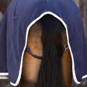 Abschwitzdecke Jersey Show Marineblau Abschwitzdecke Jersey Show Marineblau