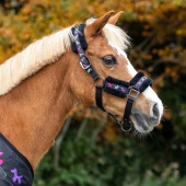 Halter und Führstrick Isalyn Unicorn Schwarz Halter und Führstrick Isalyn Unicorn Schwarz