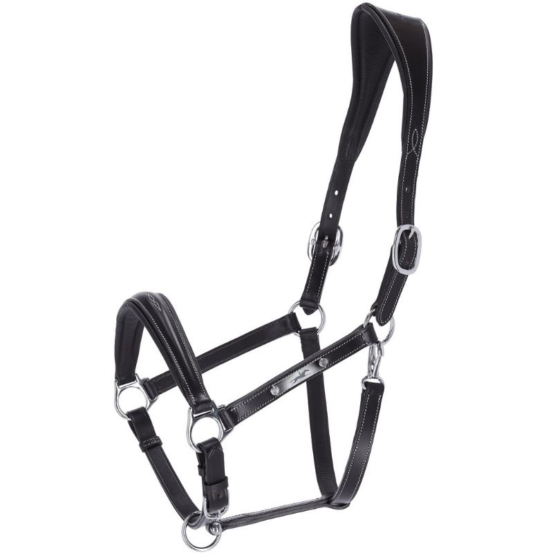 Lederhalfter Frisco F Schwarz
