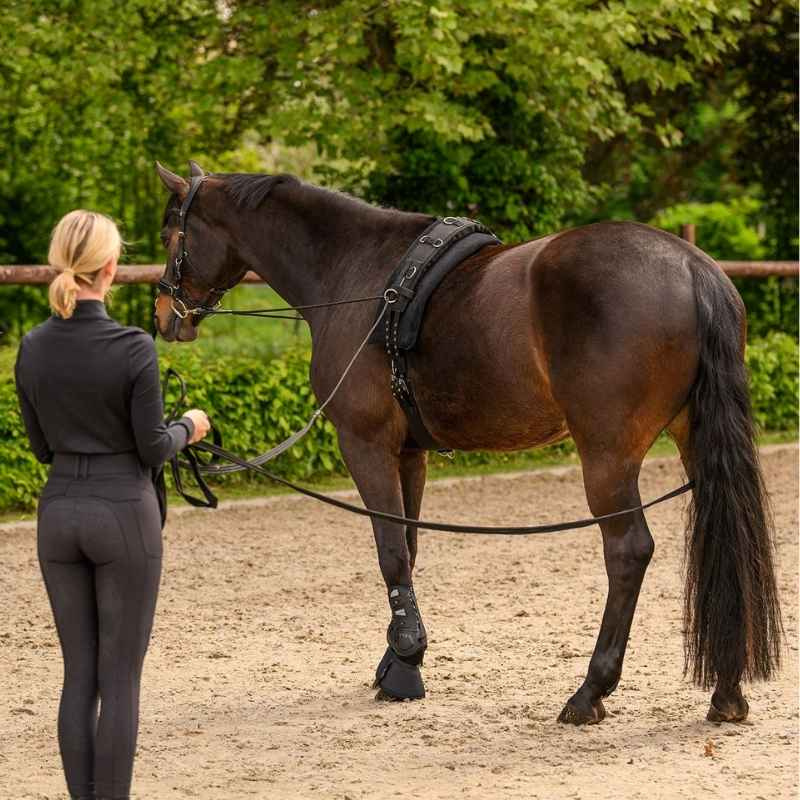 Doppelte Longe Classic Schwarz