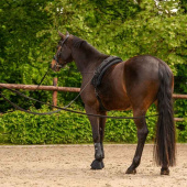 Doppelte Longe Classic Schwarz Doppelte Longe Classic Schwarz