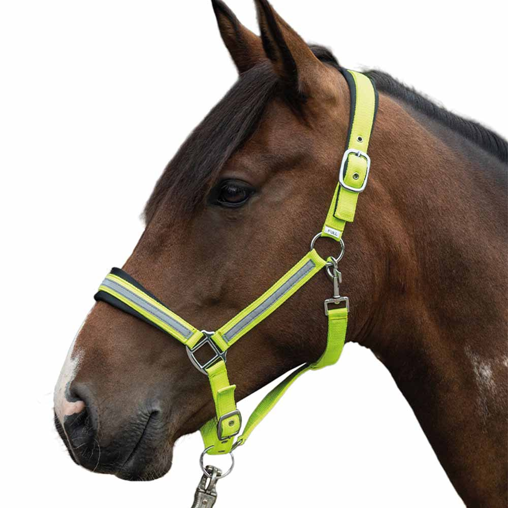 Halfter Reflektierend Gelb/Silber