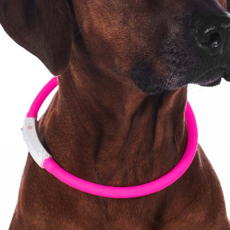 Hundehalsband LED-Leuchten Rosa