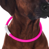Hundehalsband LED-Leuchten Rosa Hundehalsband LED-Leuchten Rosa