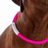 Hundehalsband LED-Leuchten Rosa Hundehalsband LED-Leuchten Rosa