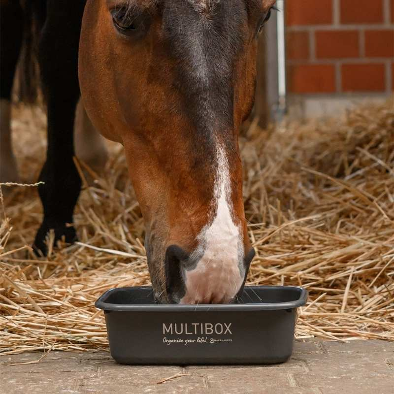 Multibox mit Deckel 3L Grau
