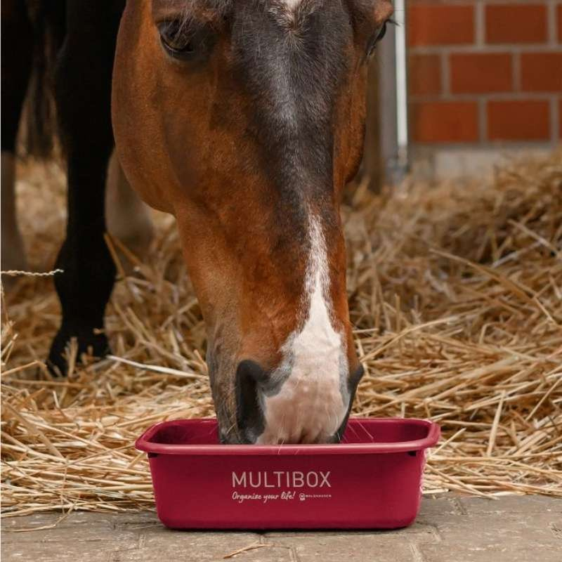 Multibox mit Deckel 3L Rot