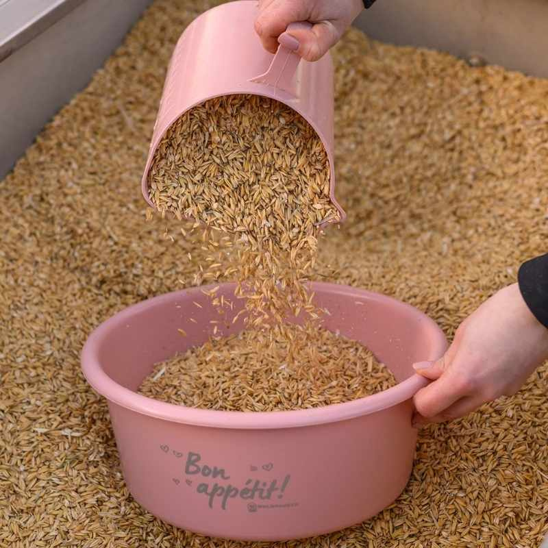 Futterschüssel mit Deckel 5L Rosa