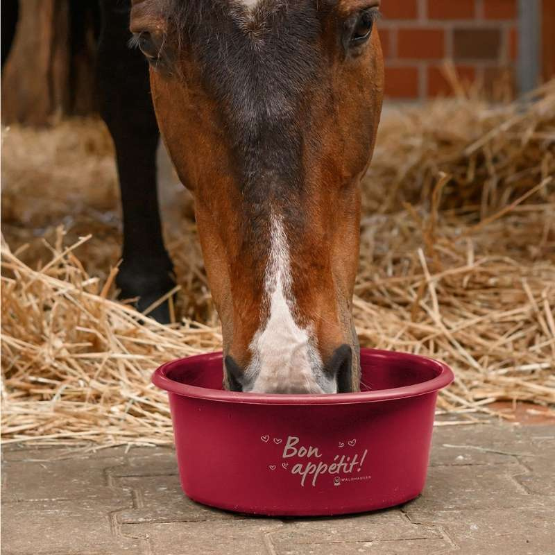 Futterschüssel mit Deckel 5L Rot