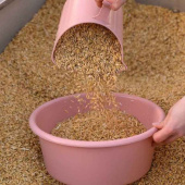 Futterschüssel mit Deckel 2L Rosa Futterschüssel mit Deckel 2L Rosa