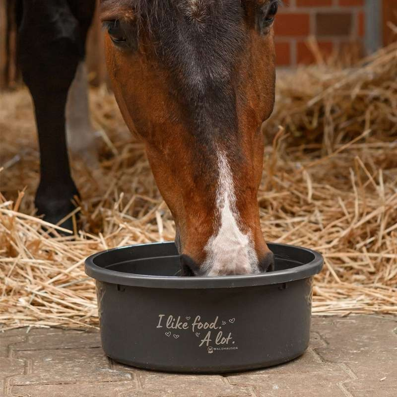 Futterschüssel mit Deckel XL 8L Grau 
