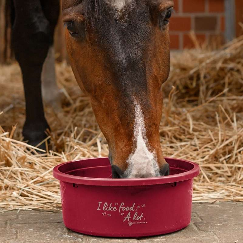 Futterschüssel mit Deckel XL 8L Rot