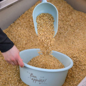 Futterschaufel 0,5L Blau Futterschaufel 0,5L Blau