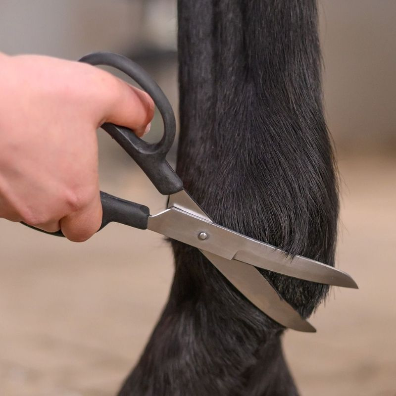 Schere Fetlock Shears Bend Schwarz
