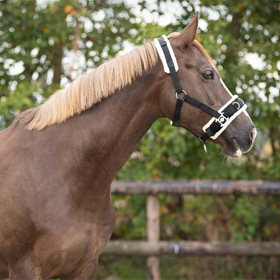 Kapson Fauxfell Schwarz