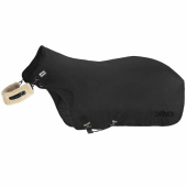 Führanlagendecke Delta II Walker Schwarz Führanlagendecke Delta II Walker Schwarz