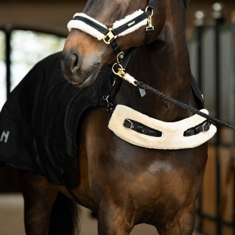 Führanlagendecke Delta II Walker Schwarz