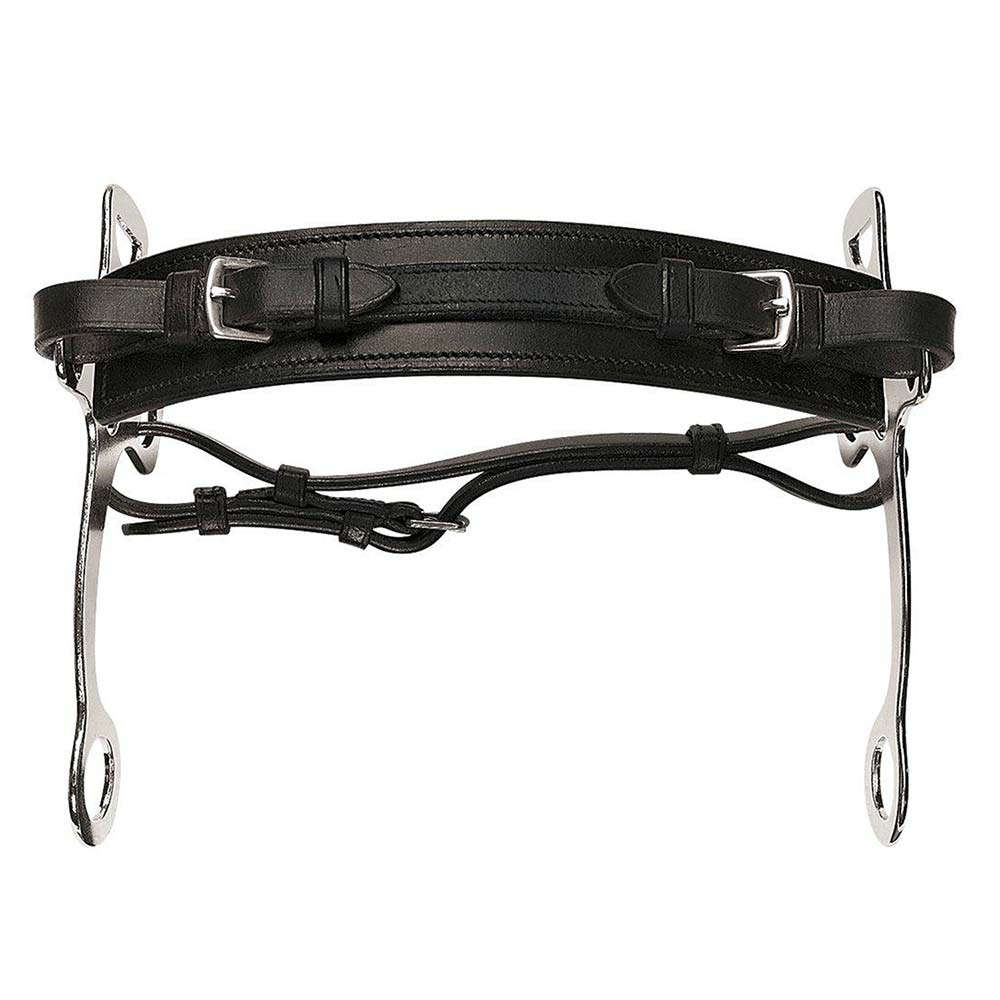 Hackamore Black