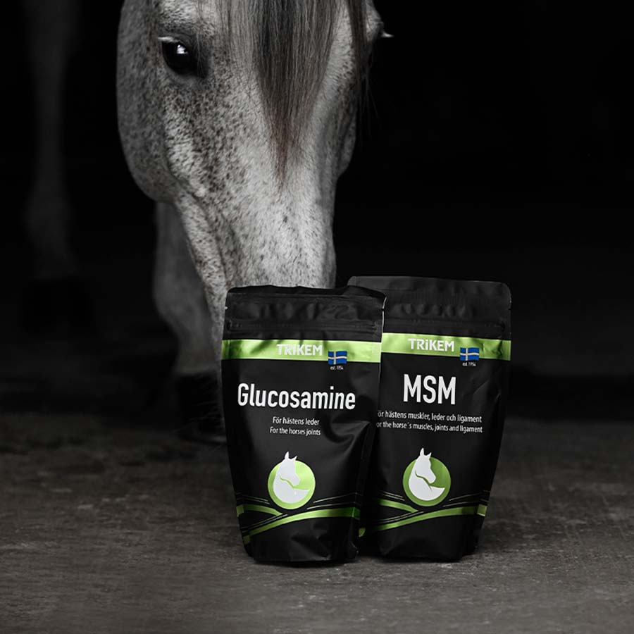 Glucosamin