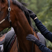 Winterreithandschuhe Winsford Schwarz Winterreithandschuhe Winsford Schwarz