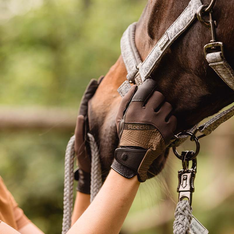 Reithandschuhe Millero Braun